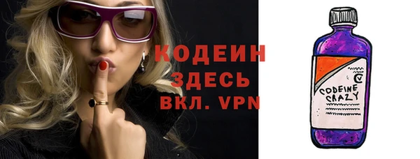 индика Нефтегорск