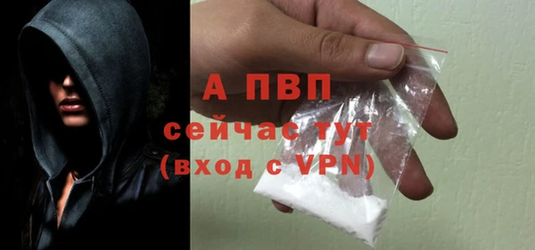 индика Надым