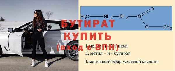 индика Надым