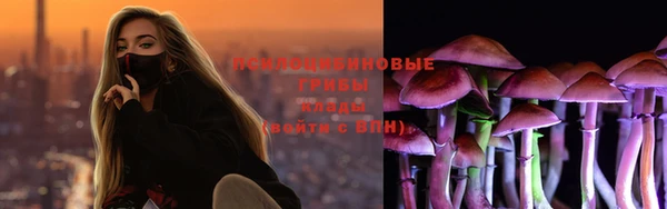 прущие крисы Нея