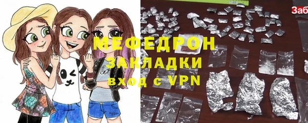 индика Надым