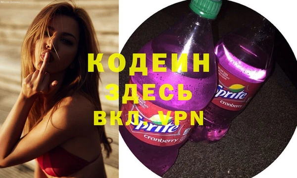 индика Надым
