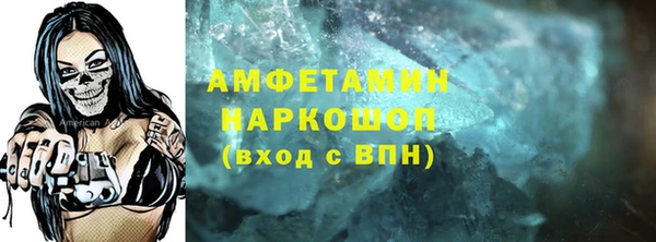 индика Надым