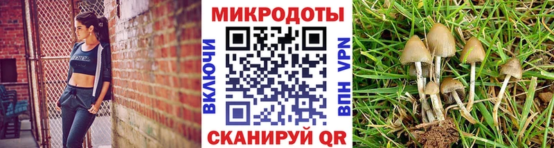 наркошоп  KRAKEN онион  Галлюциногенные грибы Psilocybine cubensis  Мирный 