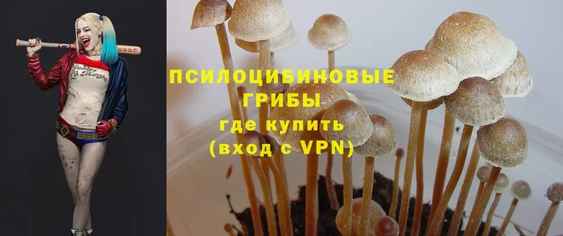 Галлюциногенные грибы MAGIC MUSHROOMS  Мирный 