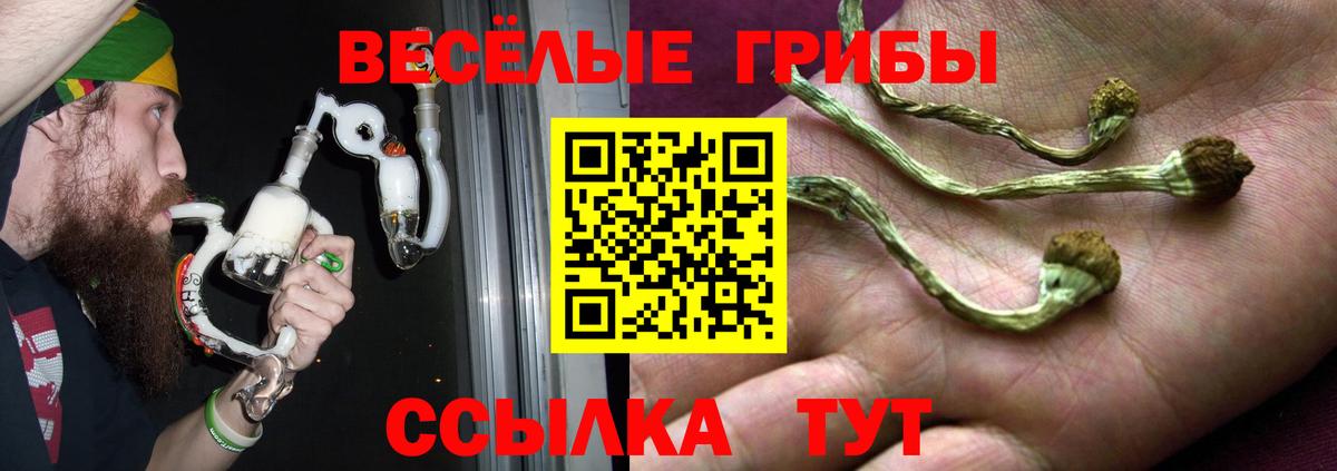 Мирный  Галлюциногенные грибы Magic Shrooms  продажа наркотиков  Вход с VPN 