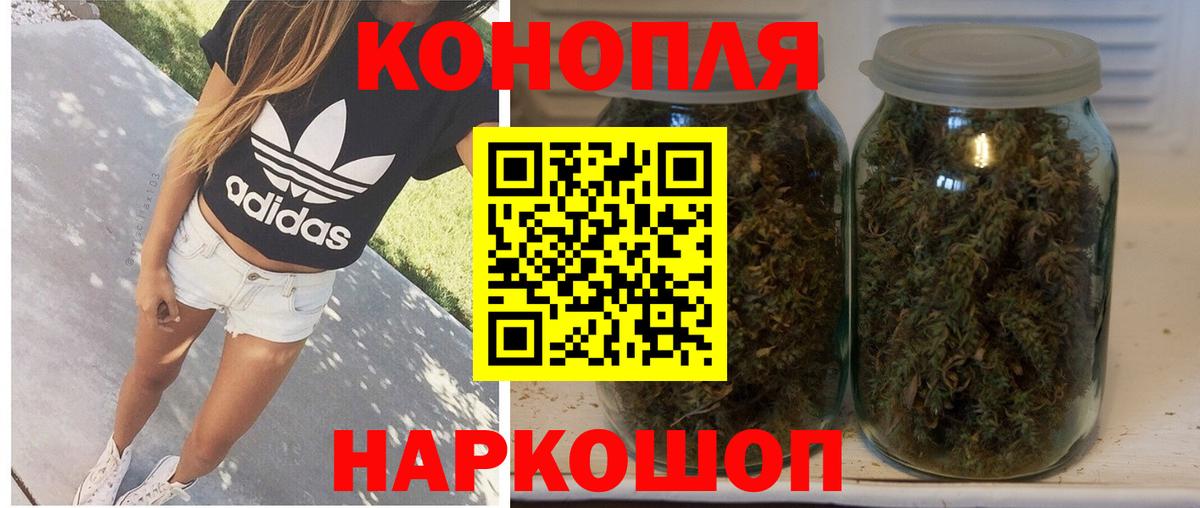 Конопля конопля Мирный